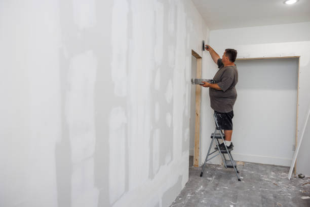 Best Commercial Mold Inspection  in Barton, NM