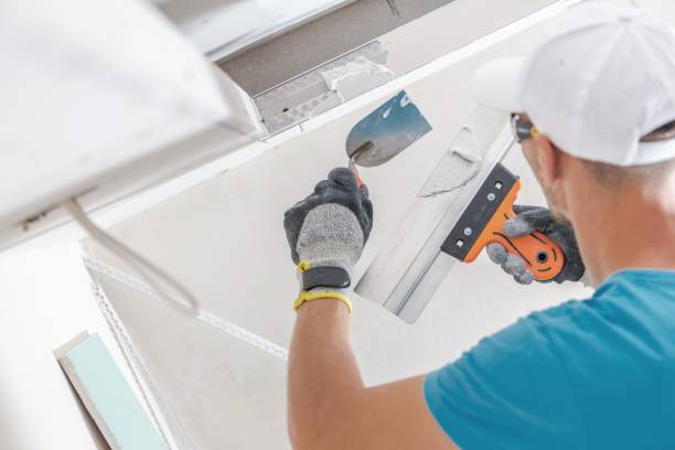 Best Mold Odor Removal Services  in Barton, NM
